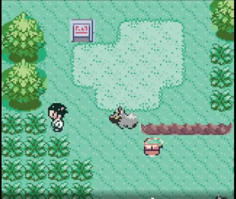 New Tool Runs GBA Games on Game Boy Color
